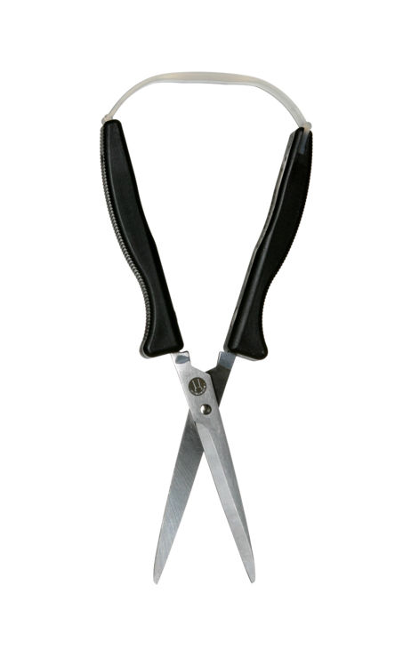 Mynd Skæri, heimilis