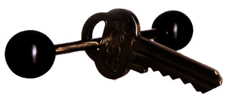 Mynd Swereco lyklapinni