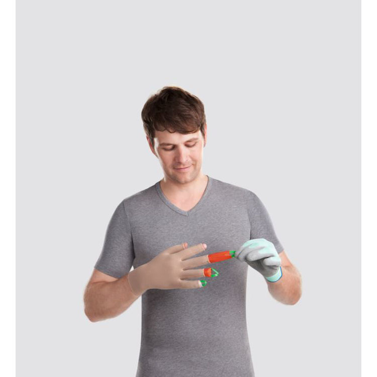 Mynd Arion Dactyna Fingraífæra