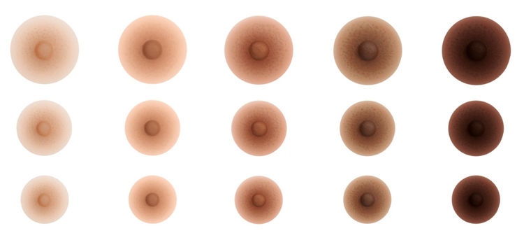 Mynd Amoena geirvörtur